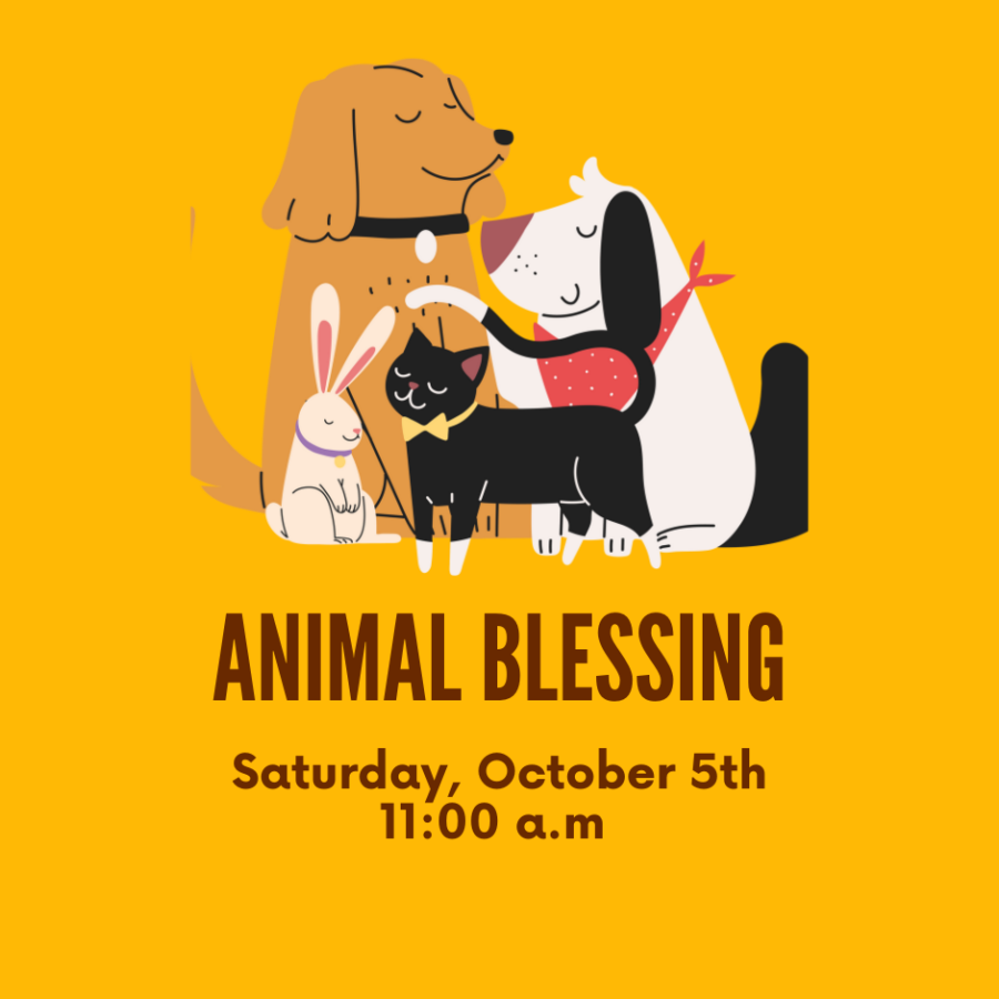 Animal Blessing Saturday Oct 5th 11am at Millbrook Baptist Church Raleigh NC