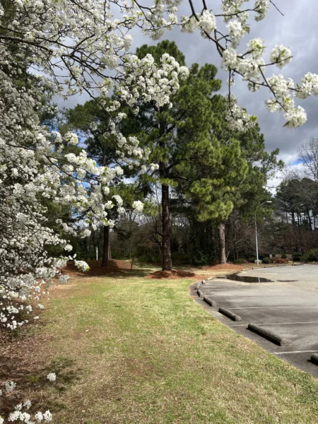 Millbrook Baptist Church Raleigh NC building