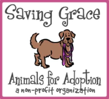 Saving Grace Animals for Adoption